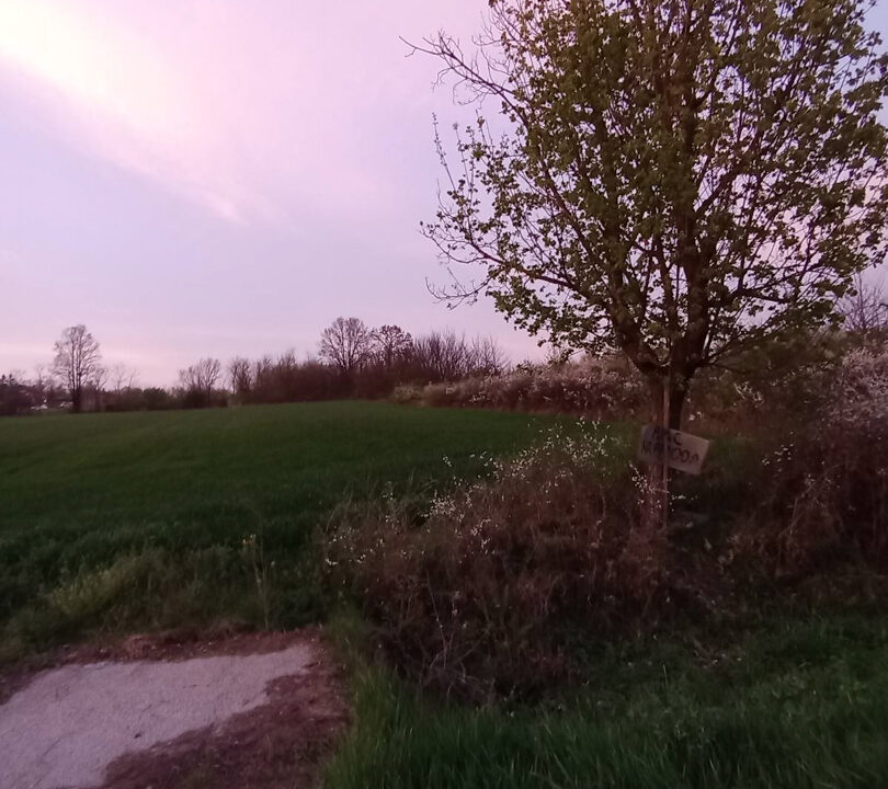 viber_slika_2024-04-05_12-58-06-096