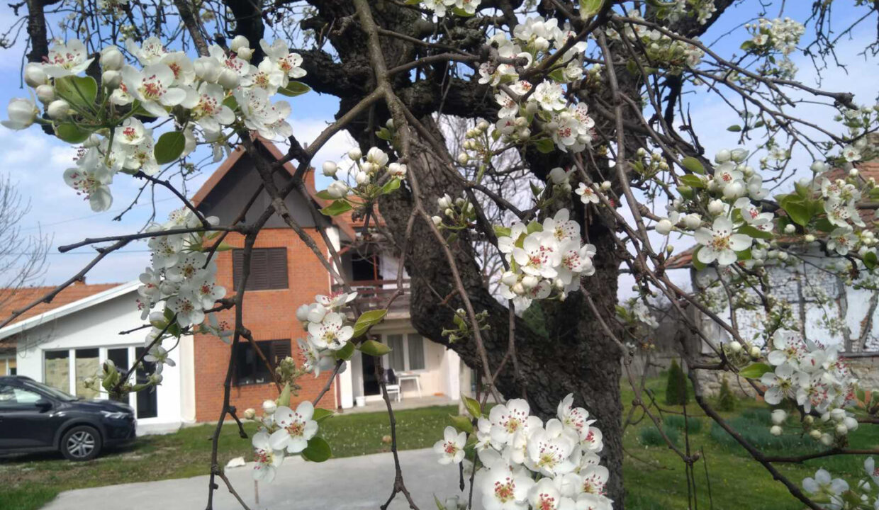 viber_slika_2024-04-12_11-22-29-659