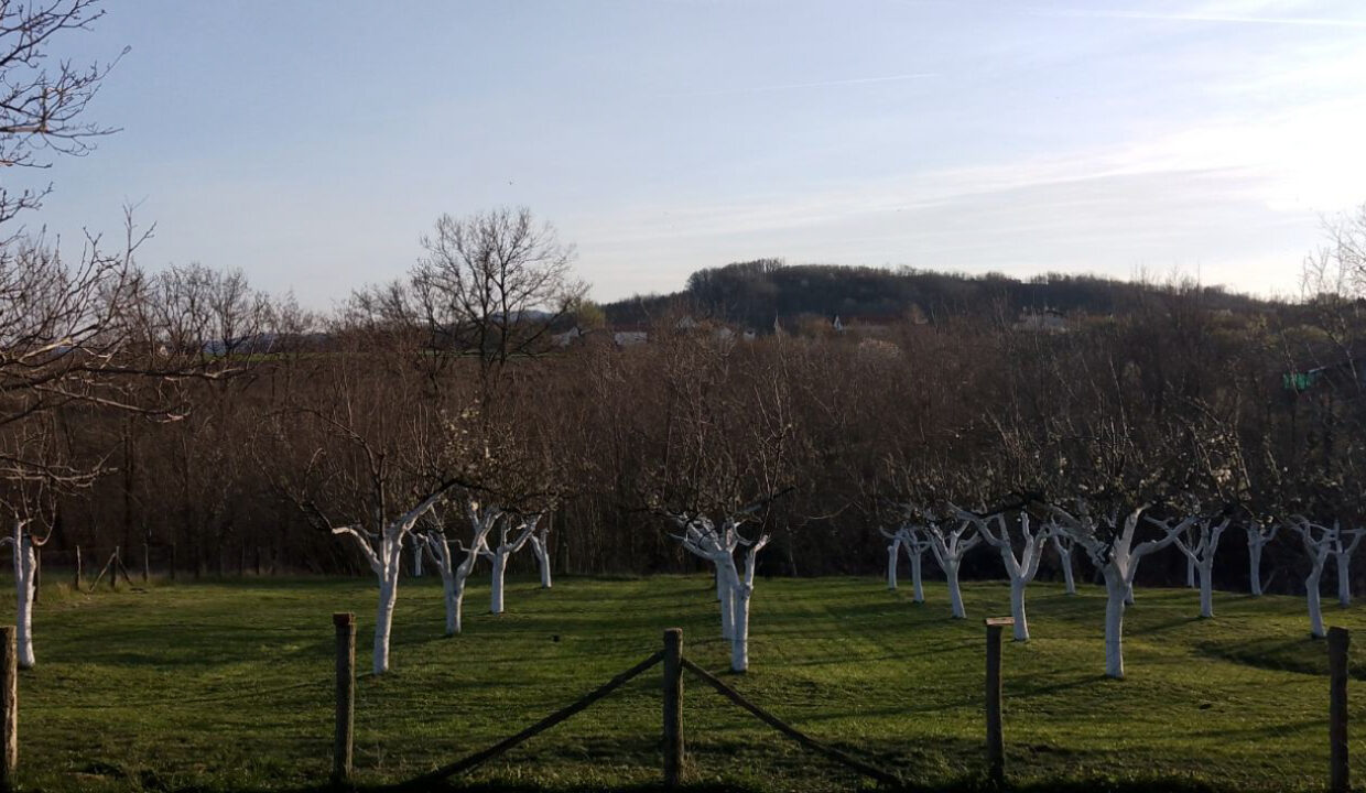 viber_slika_2024-04-17_11-12-34-434