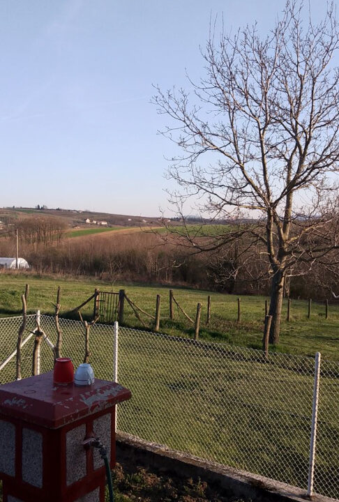 viber_slika_2024-04-17_11-12-34-465