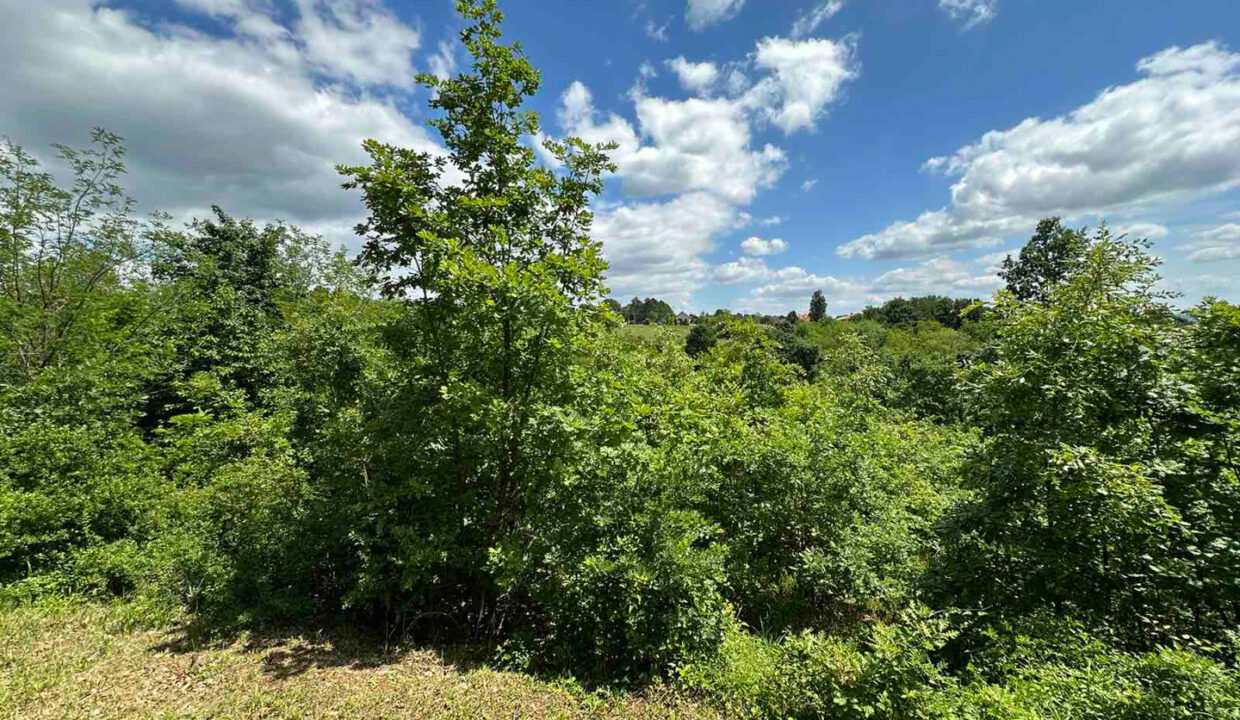 viber_slika_2024-05-10_13-22-32-381