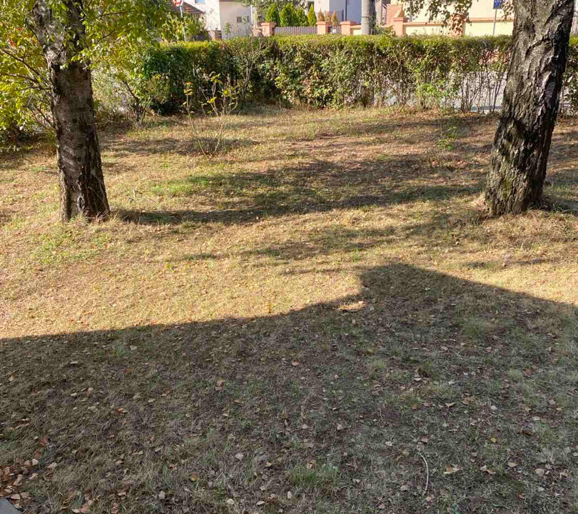 viber_slika_2024-09-23_09-47-35-472