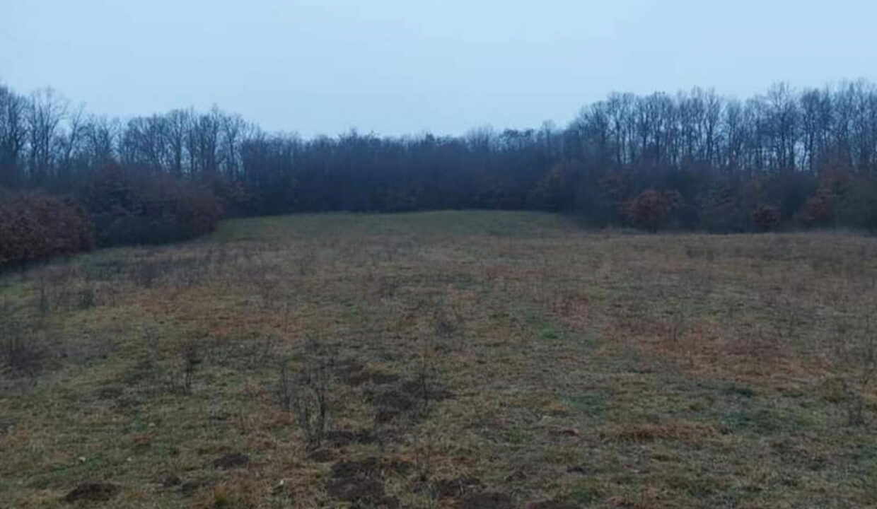 viber_slika_2025-06-25_12-07-05-738