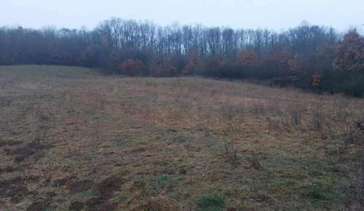 viber_slika_2025-06-25_12-07-06-175