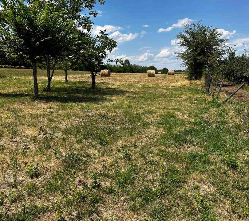 viber_slika_2025-08-08_13-25-01-830