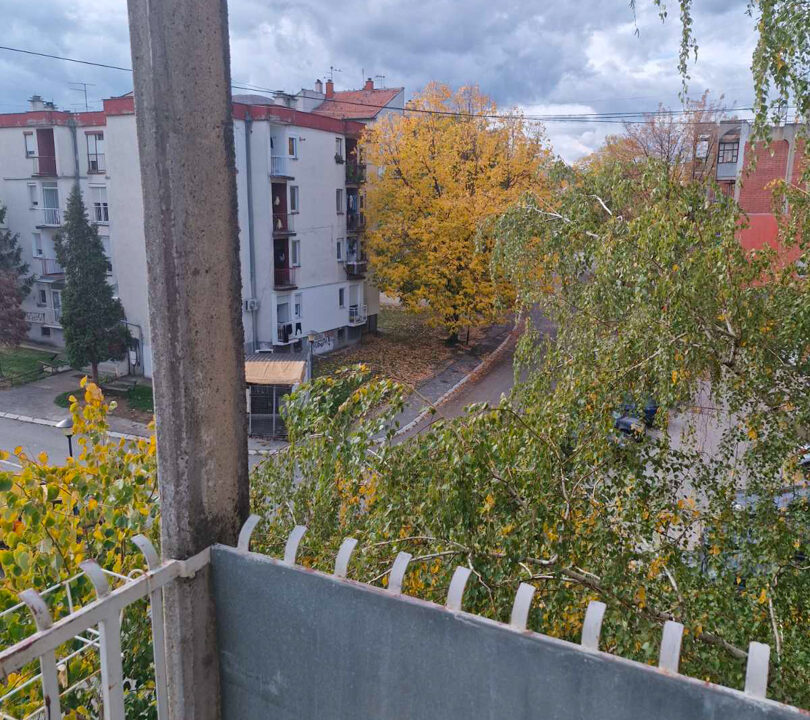 viber_slika_2025-11-12_12-26-45-723