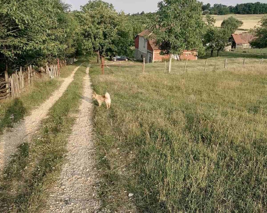 3590_0-02-05-076e1f1e52933cd58c7c0b517104b5fe625120bbb3e56eaeb0386f070cb620e7_6a44bc757a8c7e5c_1656493684