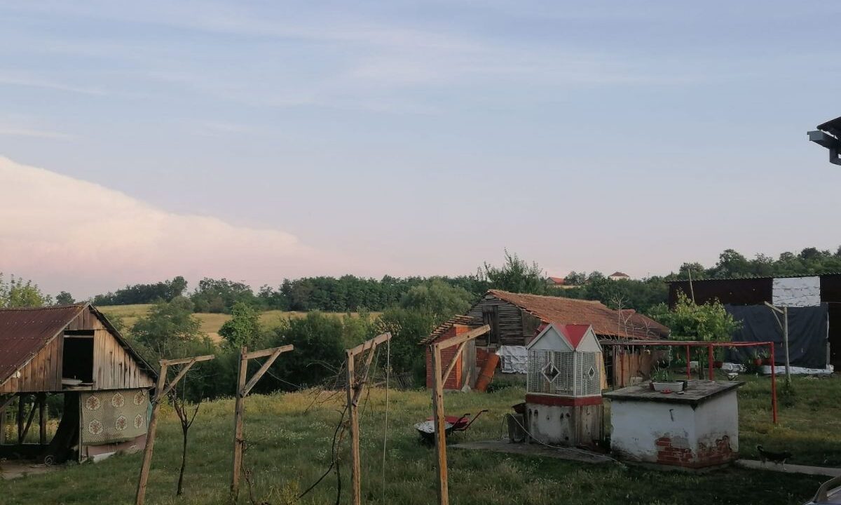 3590_0-02-05-5a43dde08b8599f6446054d010b4d8e20e16e60a9db1e90794f2da256454a154_dde24ee7ec4d658f_1656493678