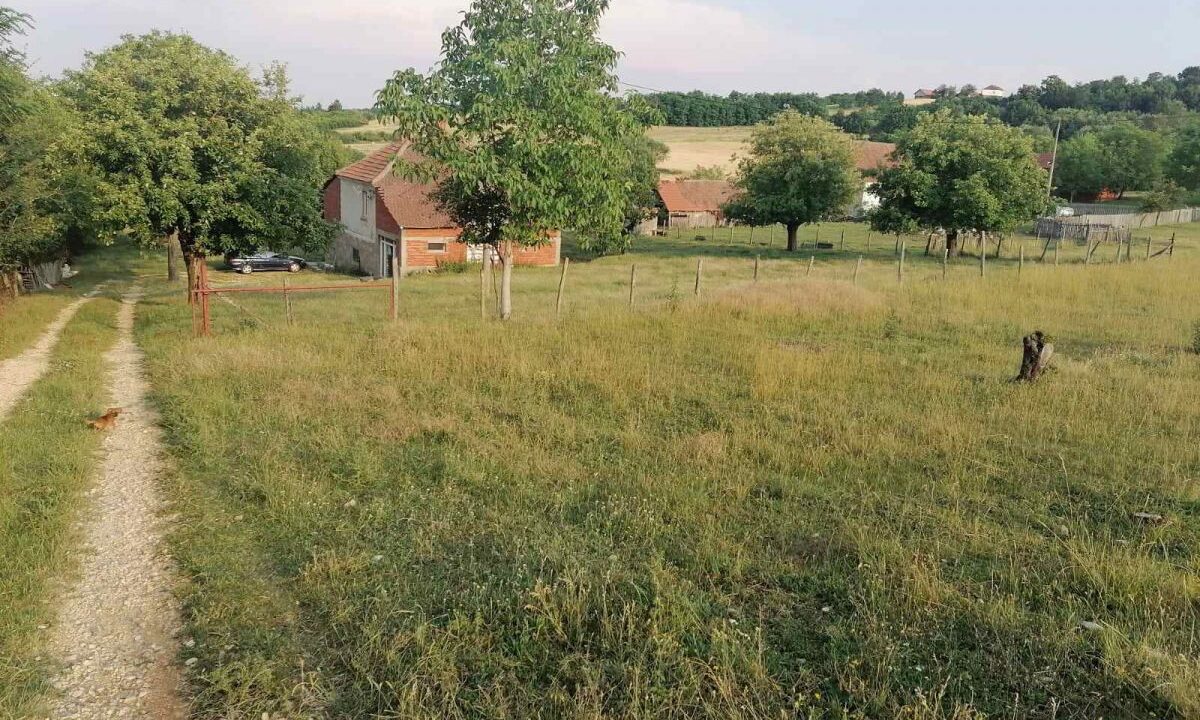 3590_0-02-05-90bacf633e5522ae941ba84fc12460214bf6a0230a76af70bc697091cd7467a7_3cc318894d89a440_1656493690