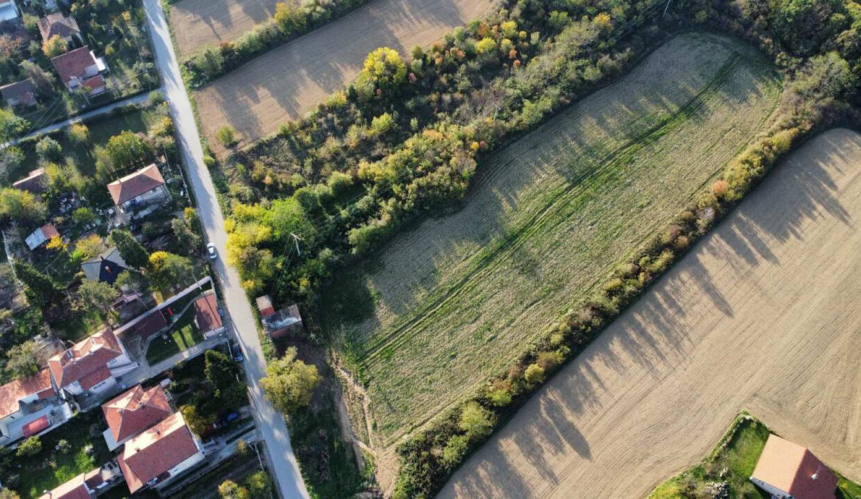 3931_viber_image_2025-10-13_11-59-42-097_1760350863