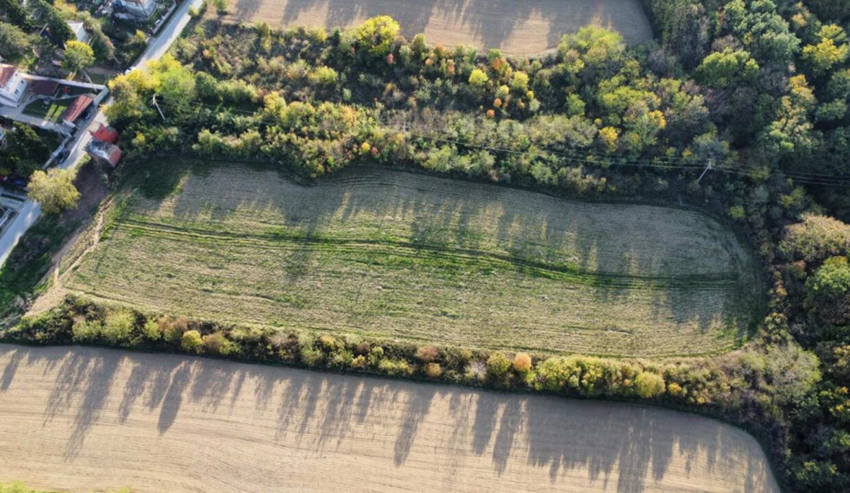 3931_viber_image_2025-10-13_11-59-42-378_1760350864