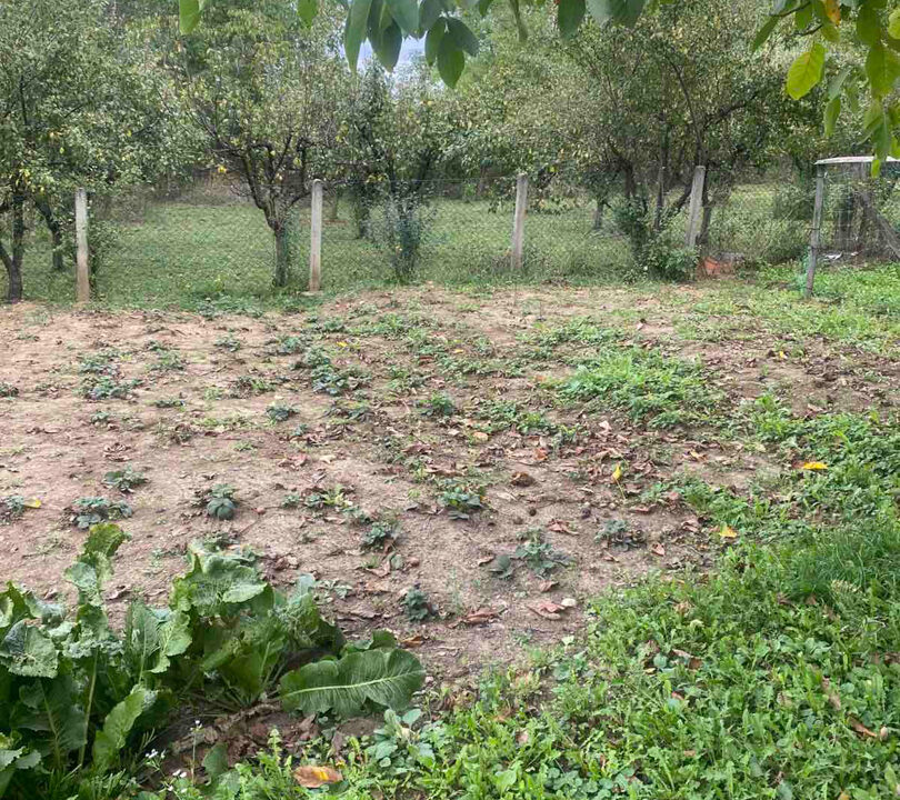 viber_slika_2025-10-08_08-26-43-464