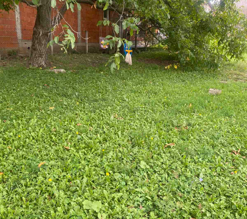 viber_slika_2025-10-08_08-26-43-944