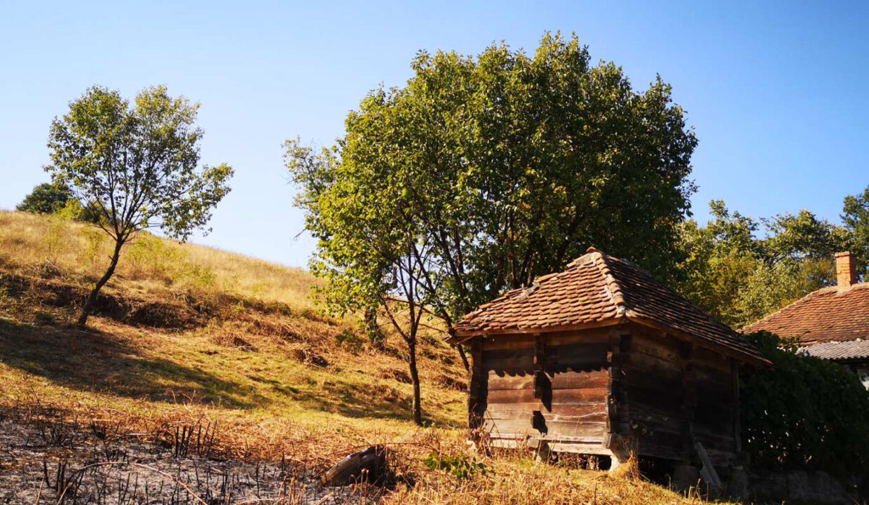 viber_slika_2025-12-09_10-13-24-173