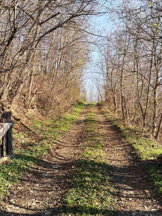 viber_slika_2025-12-09_10-17-14-108