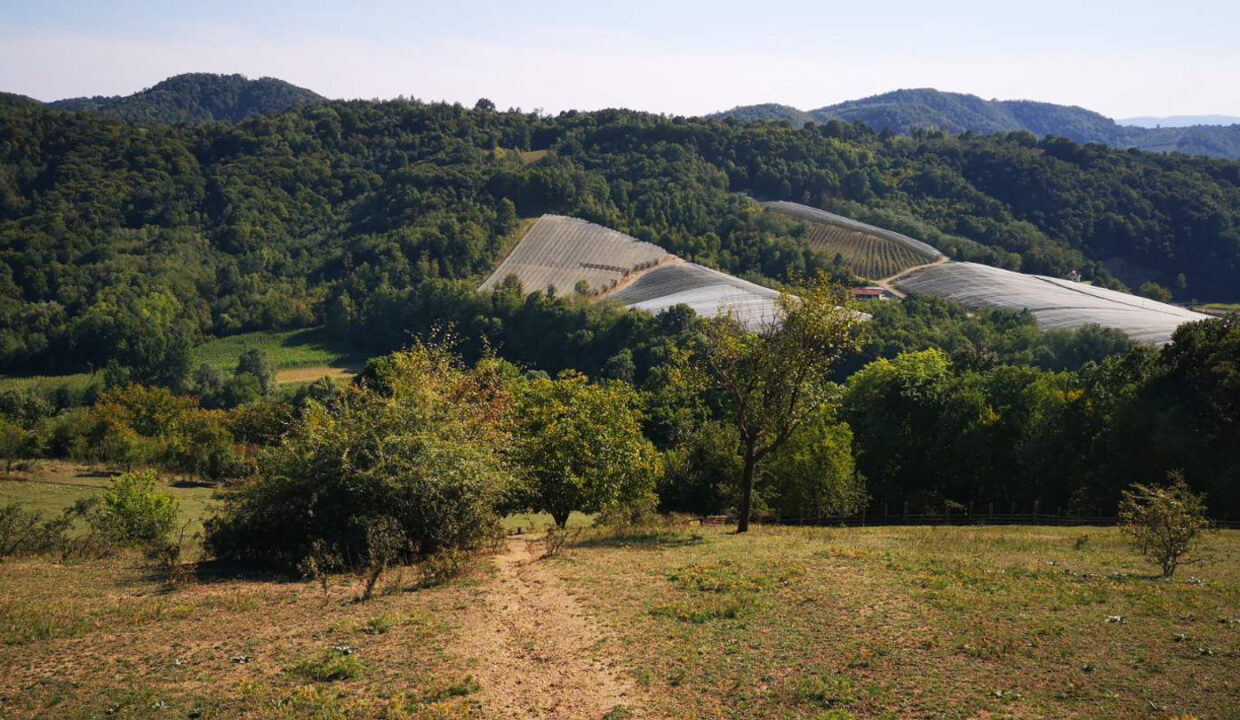 viber_slika_2025-12-09_10-19-48-600