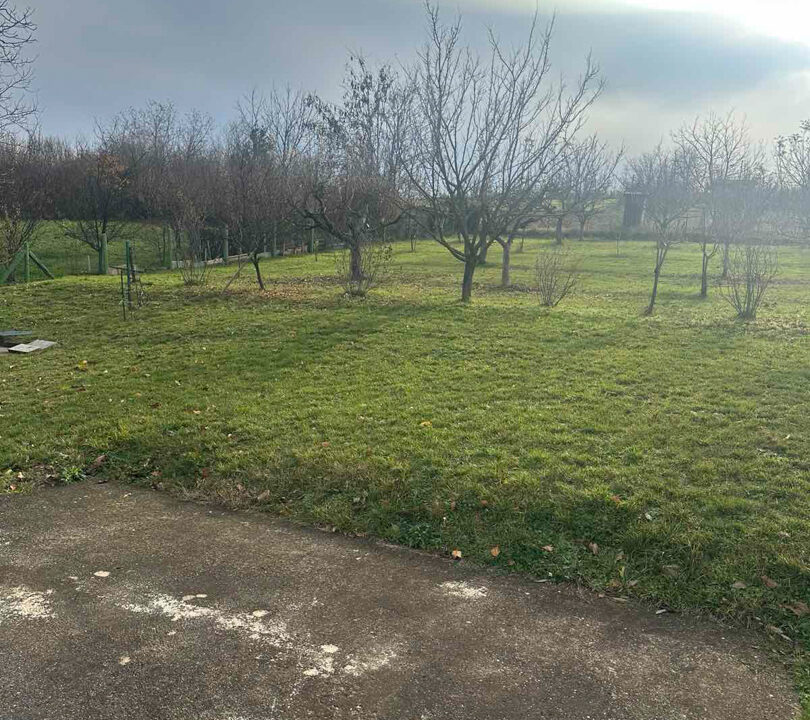 viber_slika_2025-12-11_12-49-05-070