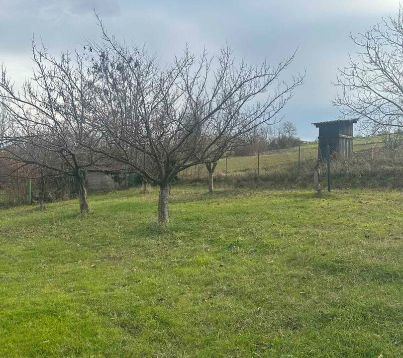 viber_slika_2025-12-11_12-49-07-931