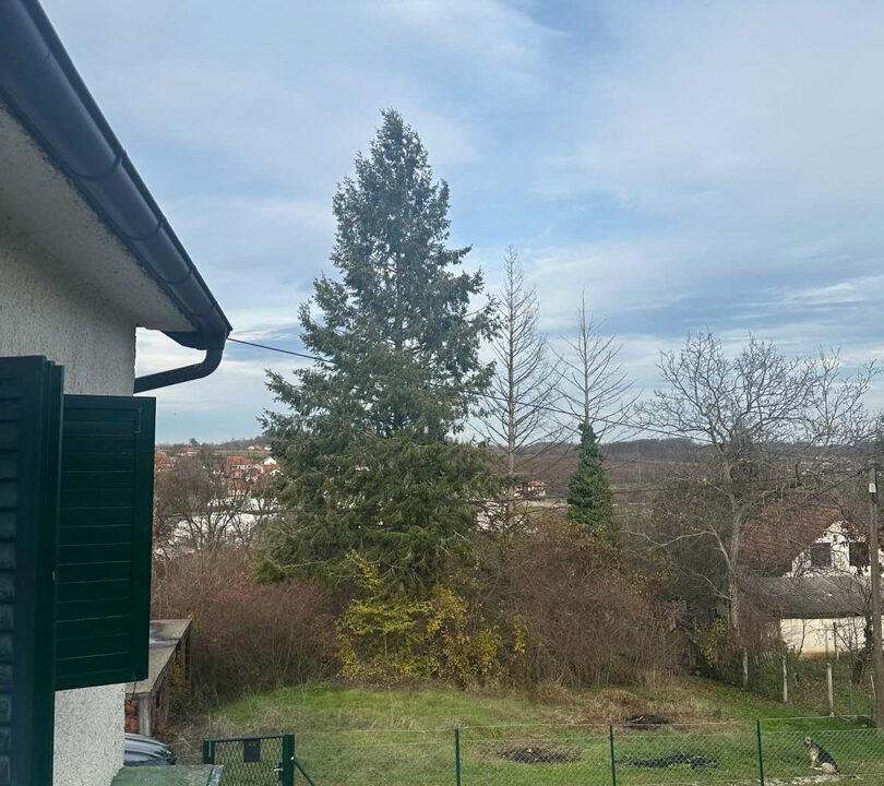 viber_slika_2025-12-11_12-49-11-675