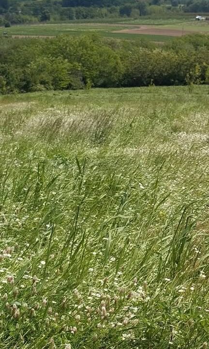 630403317_864896459642458_8580104832178284567_n