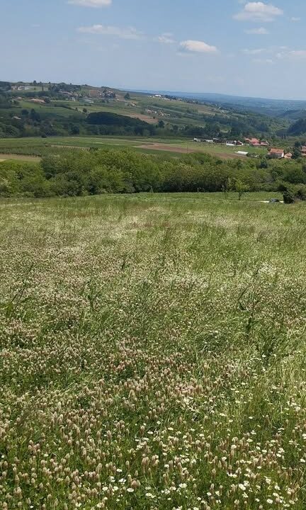 631083328_864896402975797_753058738618857740_n