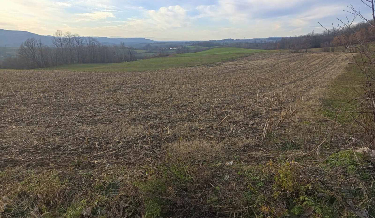 viber_slika_2026-01-20_12-57-31-458