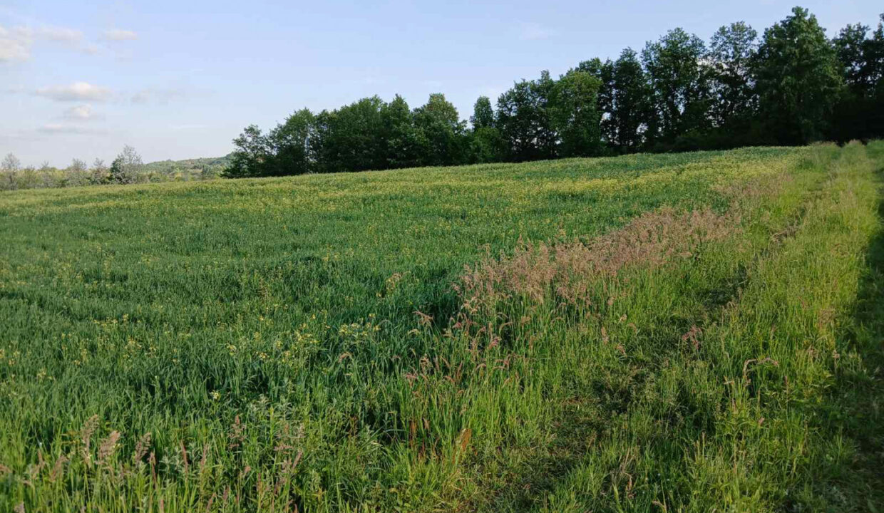 viber_slika_2026-02-12_08-37-38-780