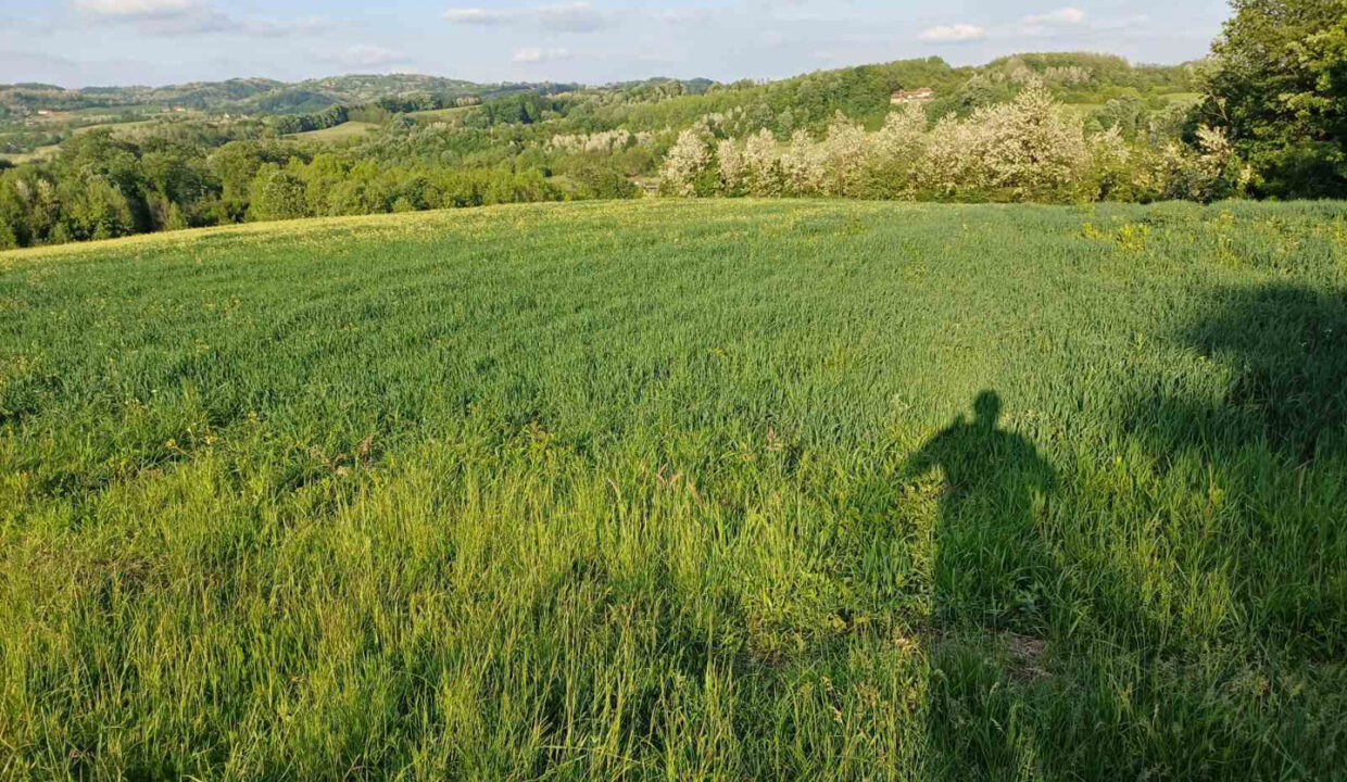 viber_slika_2026-02-12_08-37-38-989