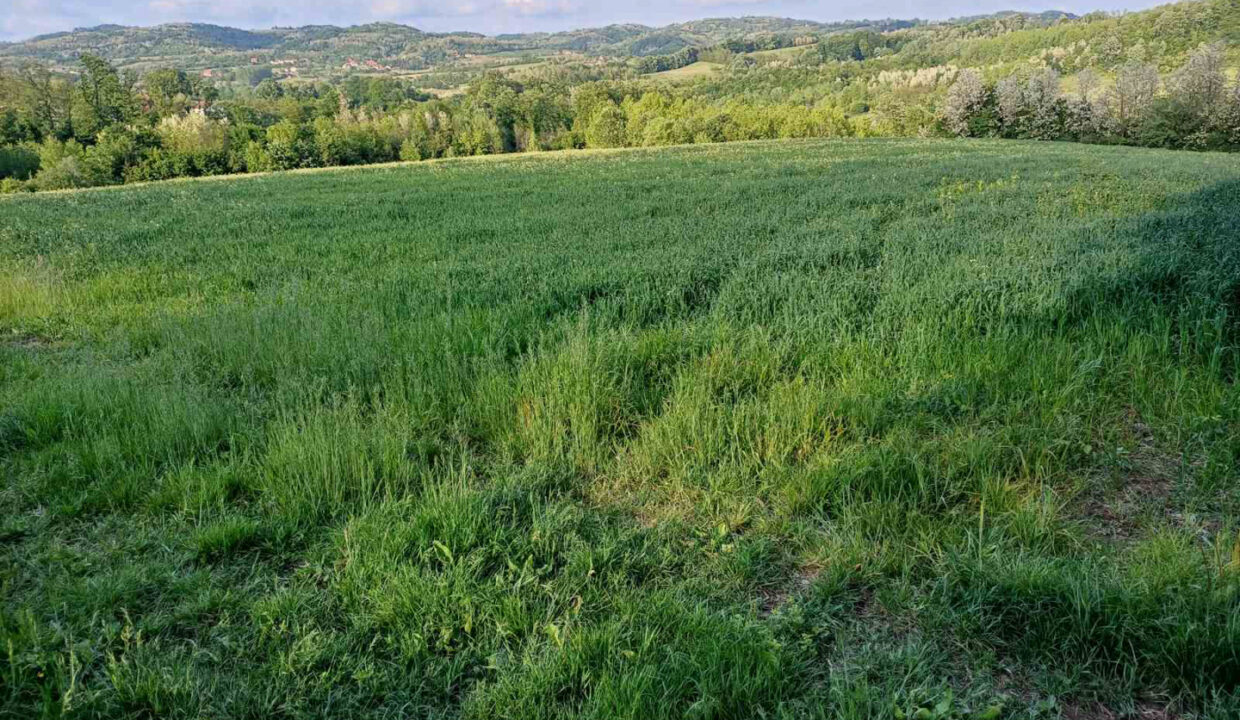 viber_slika_2026-02-12_08-37-39-477