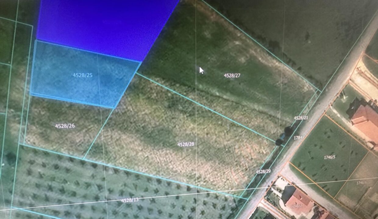 viber_slika_2026-02-20_11-42-20-045