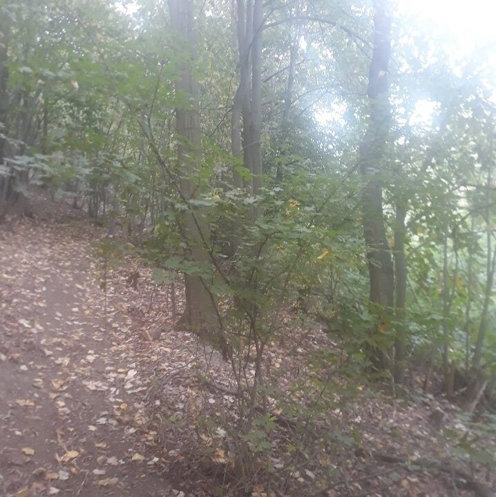 viber_slika_2026-01-28_10-20-44-359