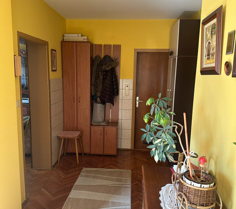 viber_slika_2026-03-10_12-47-50-567