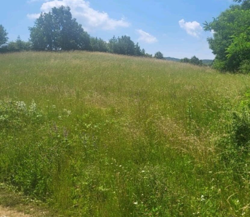 viber_slika_2026-03-26_10-16-55-343