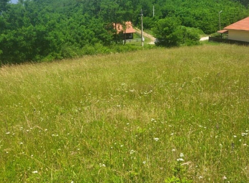 viber_slika_2026-03-26_10-18-36-593