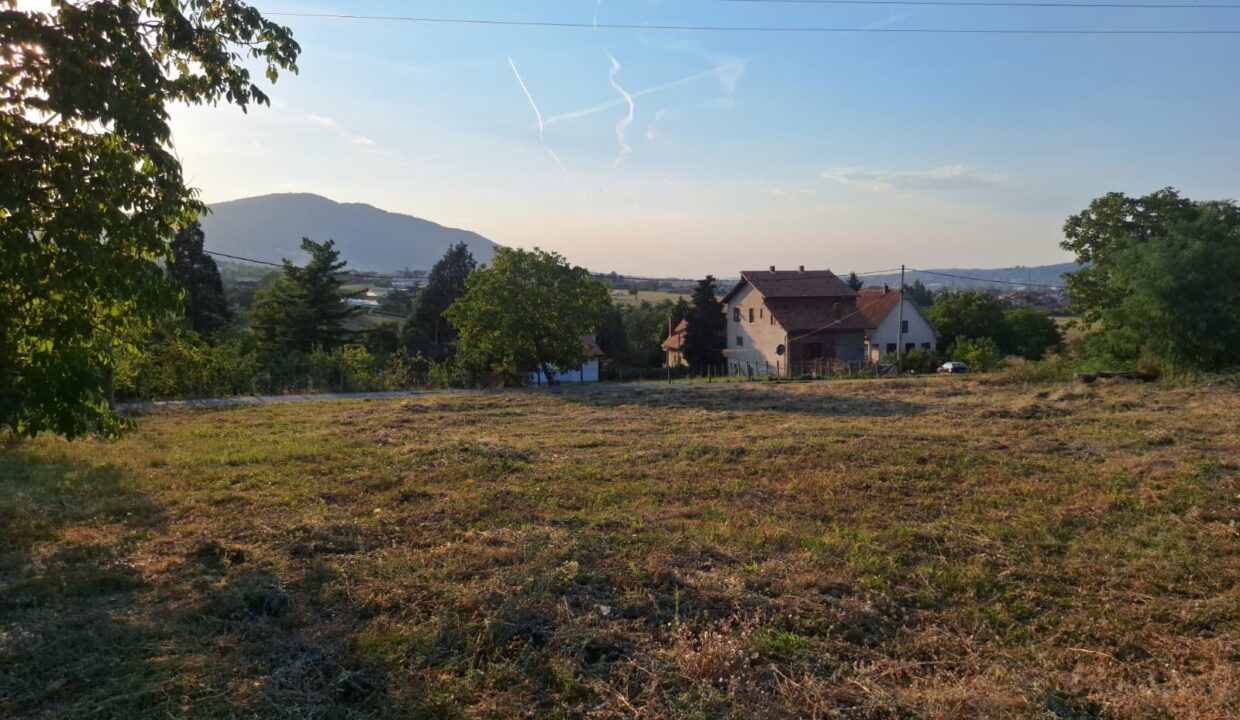 5 - cover