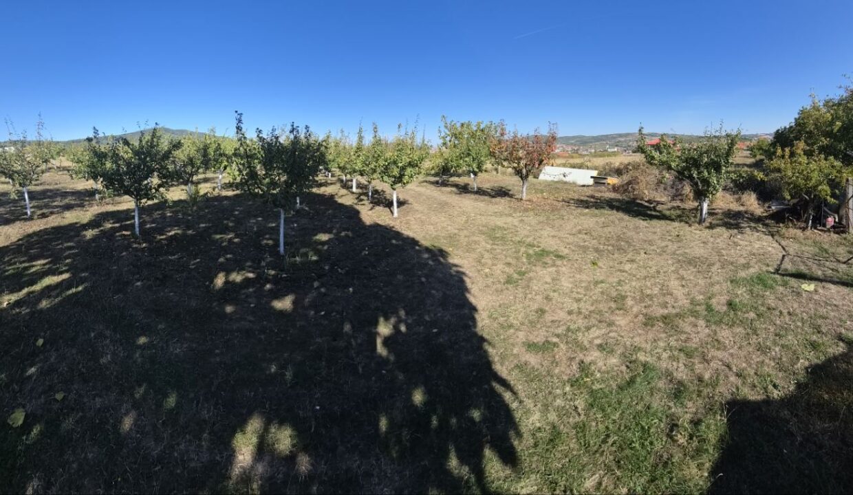 viber_slika_2026-10-19_11-55-33-755